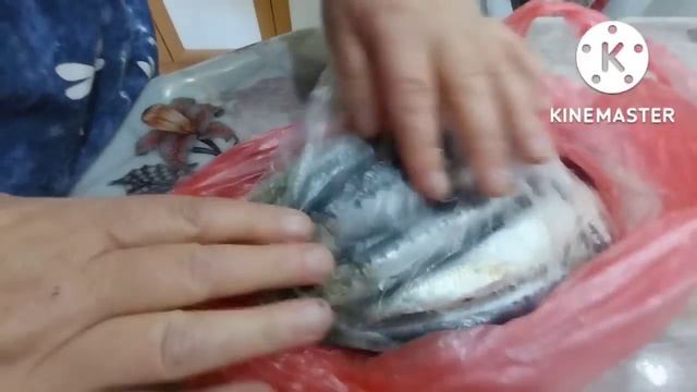 переезд на Юг/ярмарка в Светлограде/у нас пополнение смотреть онлайн