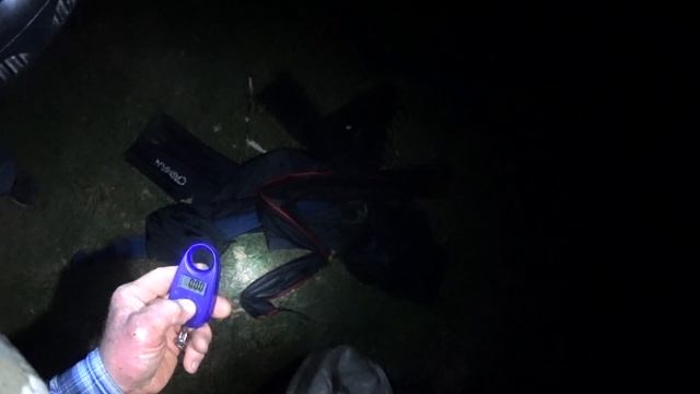 Зарыбленный пруд в Воронежской области радует рыбаков хорошими уловами смотреть онлайн