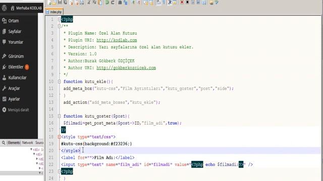 WORDPRESS TEMA PROGRAMLAMACustom Meta Box Oluşturma_480 смотреть онлайн