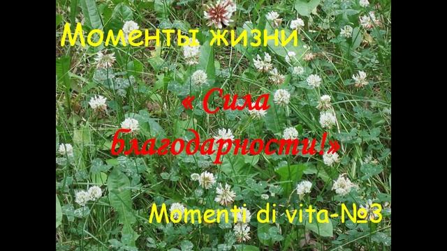 3. «Моменты жизни - Momenti Di Vita - №1»,  