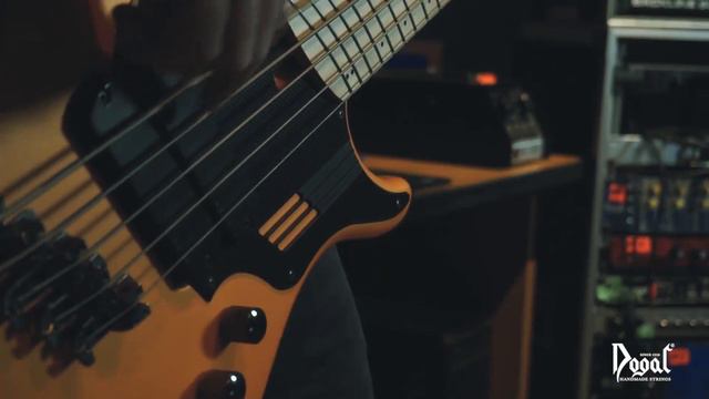 Luca Nicolasi - Dogal multiscale NICKELSTEEL bass strings. смотреть онлайн