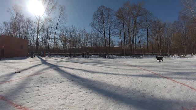 Зимний питч - 2014 (Саров) смотреть онлайн
