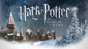 Harry Potter and the Goblet of Fire Soundtrack: Harry in Winter Orchestral Cover - Patrick Doyle