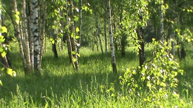 Перезаливка. Летний фритюр шашлык. Summer deep fryer kebab смотреть онлайн