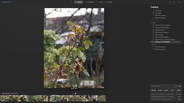 Olympus 14 150mm F4-5.6 II ED MSC Lens Review