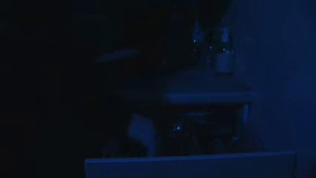 The Stalker Chronicles: Episode Two: Reflections смотреть онлайн