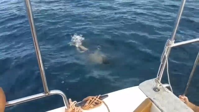 Морская рыбалка на черном море смотреть онлайн