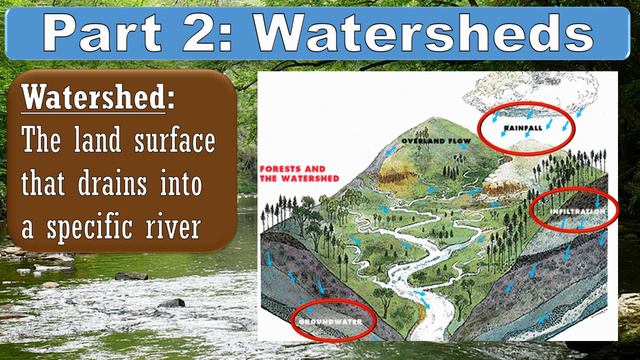 Topic 6.3: Surface Water (Introduction) смотреть онлайн