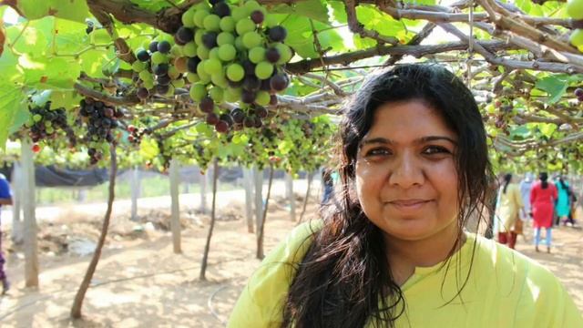 Main tourist attraction points of kerela смотреть онлайн