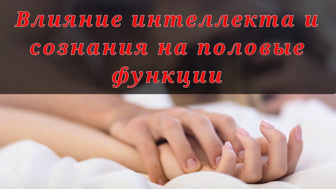 Как сознание и интеллект мешают совокуплению людей смотреть онлайн