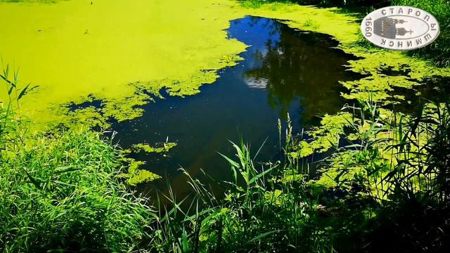 Старопышминск. По красоте. смотреть онлайн