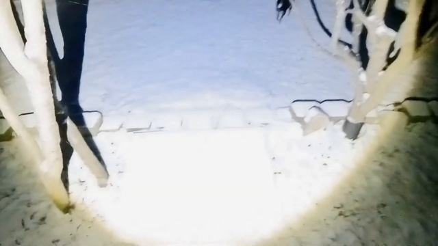 Walking early morning in the snow. Walking the puppies. Adventure 325. смотреть онлайн