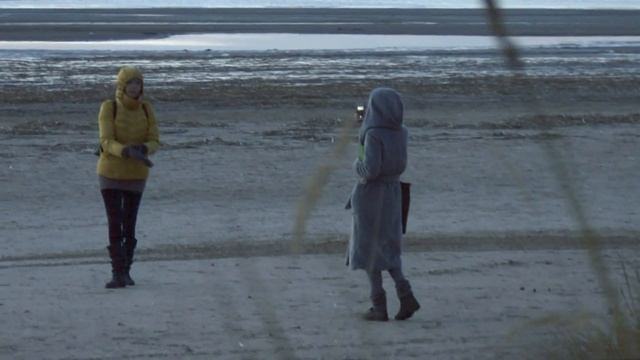 Гуляем на Заливе 23-10-16. Хозяйка щенков. Военный самолёт. Пляж ночью. Электричка в метре. смотреть онлайн