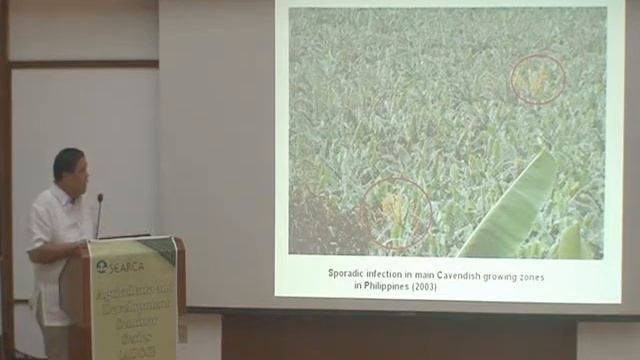 Threat on and Prospect of the Philippine Banana Industry in the Face of Fusarium Wilt TR4 Epidemic смотреть онлайн