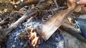 РИТУАЛ ПО СНЯТИЮ ЛЮБОЙ МАГИИ С ОБРАТКОЙ ВРАГАМ. РИТУАЛ ТОЛЬКО СМОТРИМ!//Дом Эзотерики Аллы Морозовой