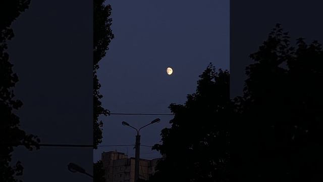 WHITE GALLOWS- Сердце смотреть онлайн