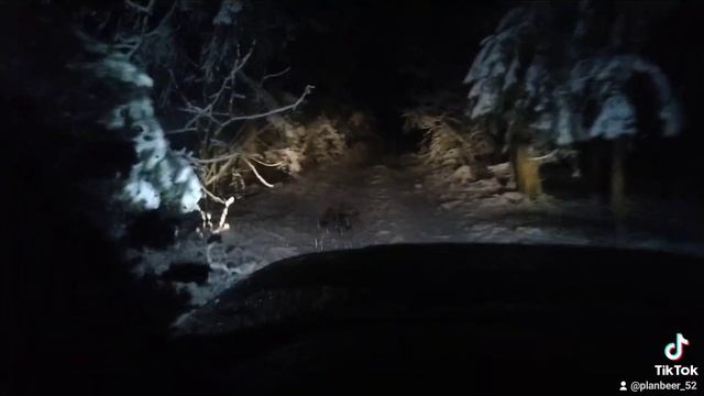 УАЗ Патриот!!! Первый снег!!! Сразу в лес!!! Сильный снегопад!!! смотреть онлайн