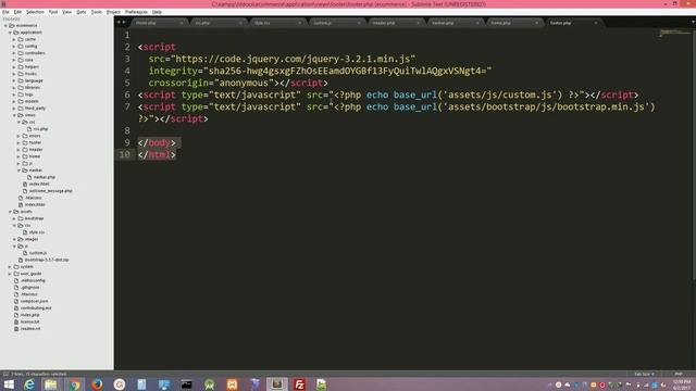 11 - Removing problem from CSS and JS files in codeigniter смотреть онлайн