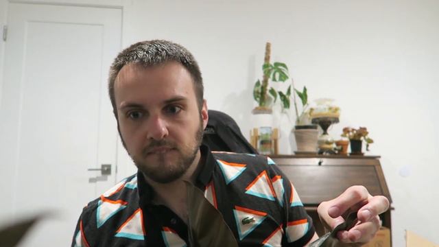 DARK PHILODENDRON UNBOXING: Imperial Red & Black Cardinal смотреть онлайн