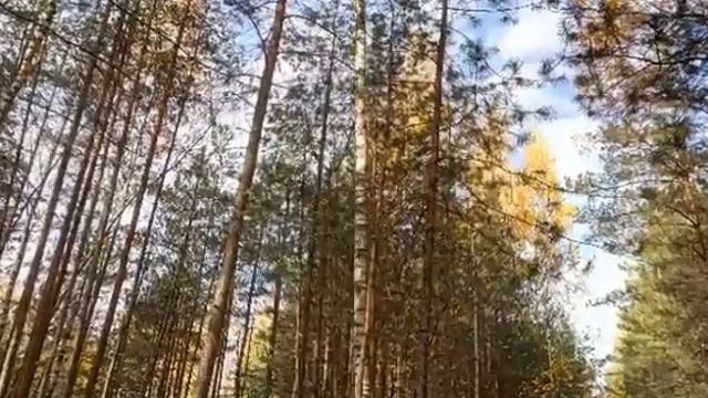 ВИДЕО НА ЗАКАЗ ВОЛШЕБНЫЙ ПОДАРОК смотреть онлайн