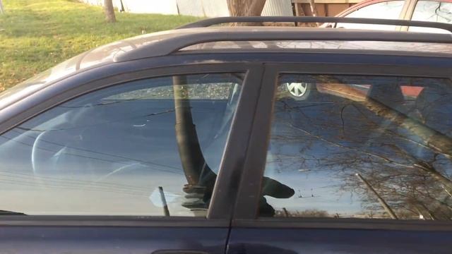 "Свинья грязь...создаст!" смотреть онлайн