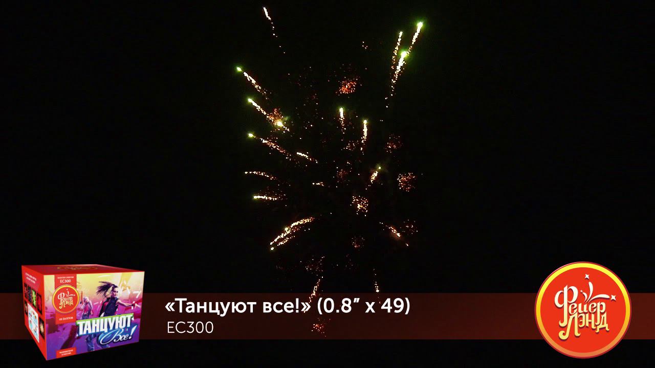 EC300