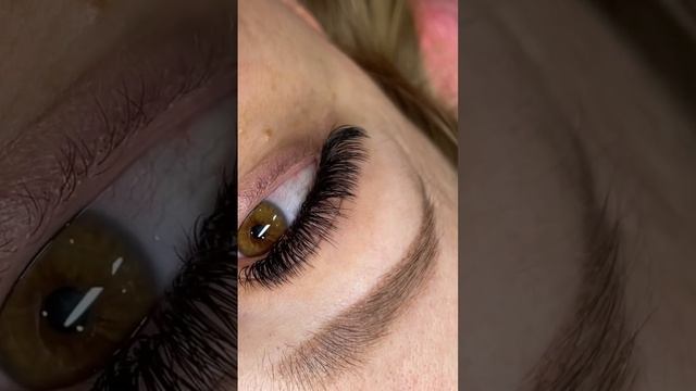 Наращивание ресниц в технике полумокрый эффект,3д,кукла-лиса,длина 7-12,изгиб СС смотреть онлайн
