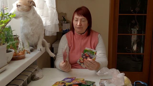 Обзор семян, семена петунии в снег #семейный канал всем. Блог.