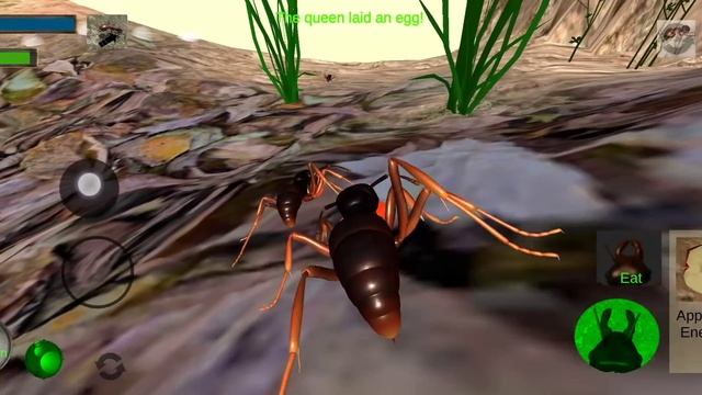 Ant Vs Spider Vs Scorpio | Ant Simulator | Papi Reyn