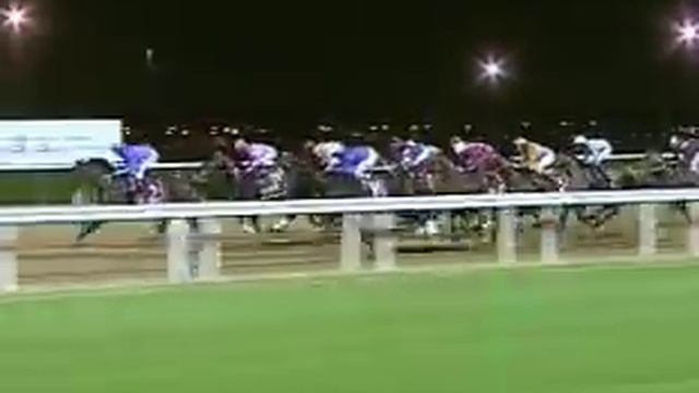 Dubai Millennium 2000 Dubai World Cup HQ