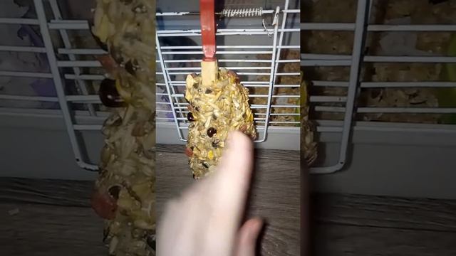 Как сделать палочку для крыски смотреть онлайн