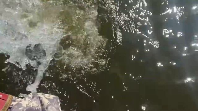 Презентация рыбалка на Оке смотреть онлайн