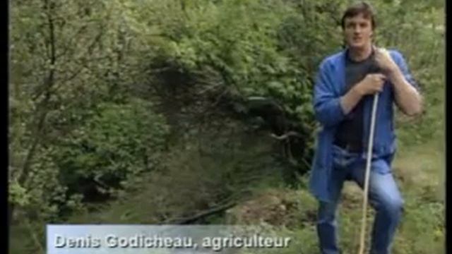 Выбор вашего щенка.flv смотреть онлайн