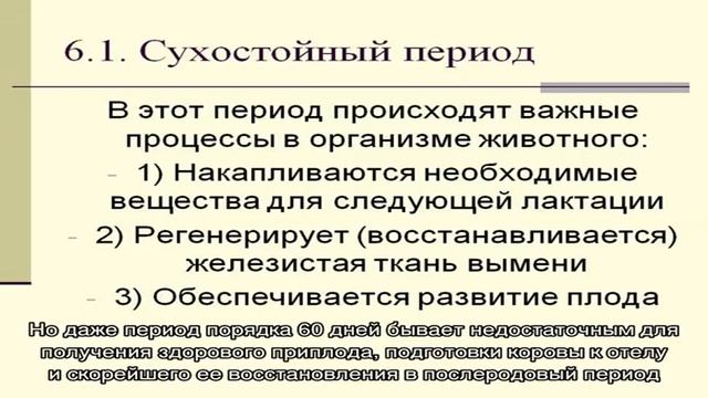 Особенности сухостойного периода смотреть онлайн