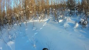 Снегоход Тайга с двигателем Лифан 20.  Часть 6.  Финал