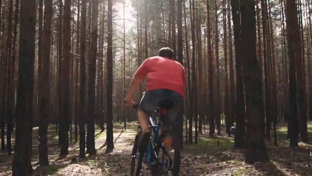 VELOVE. Велосипеды Black Aqua смотреть онлайн