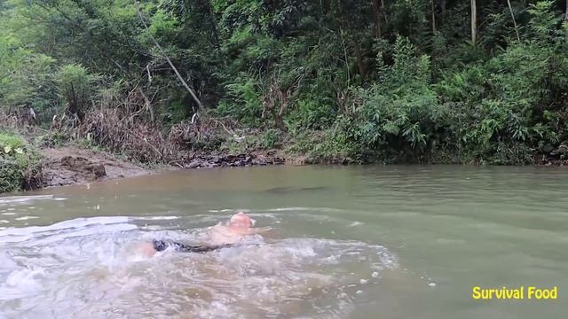 Survival Food - Girl Catch Fish with Bow and Arrow - Smart Living Catch Fish For Survival смотреть онлайн