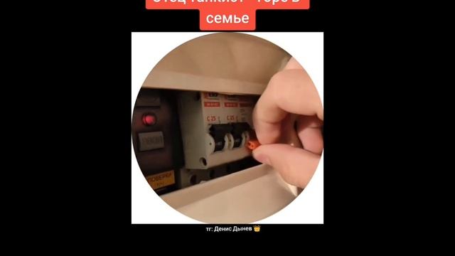 Тик ток полюбил смешных собак смотреть онлайн