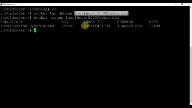 Curso Docker desde cero - Capitulo 47 Subir y bajar imágenes del Docker Registry смотреть онлайн