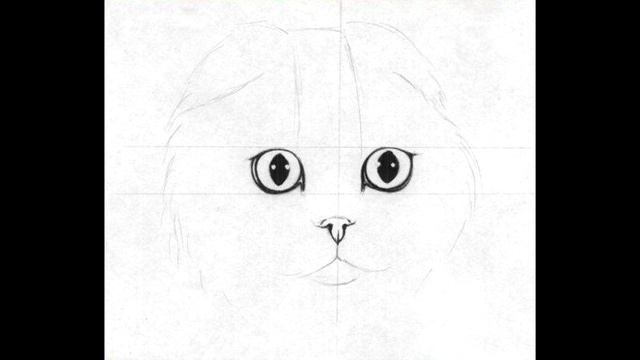 Как НАРИСОВАТЬ шотландскую вислоухую КОШКУ? смотреть онлайн