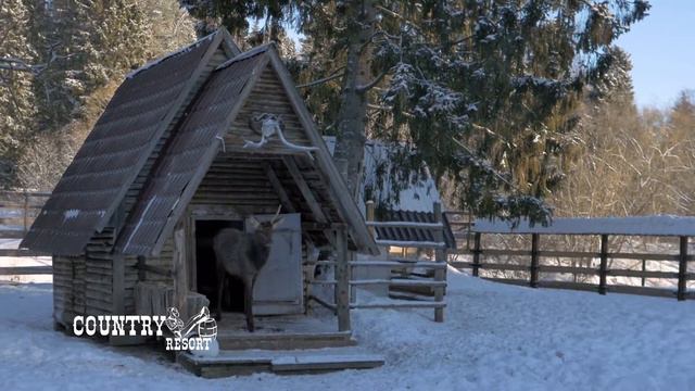 Country Resort смотреть онлайн