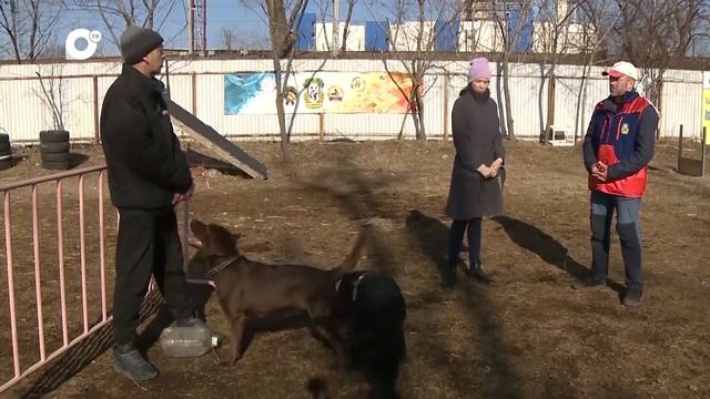 «СМОТРИ. ВЫБИРАЙ». Кредитные каникулы. Как ими воспользоваться? смотреть онлайн