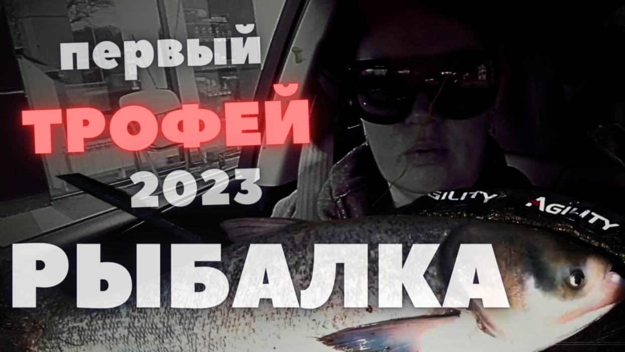 КАК ПОЙМАТЬ ТОЛСТОЛОБА ВЕСНОЙ, 11+кг ? ПЕРВЫЙ ТРОФЕЙ в 2023 году, ВЕСЕННЯЯ РЫБАЛКА НА ПЛАТНИКЕ. смотреть онлайн
