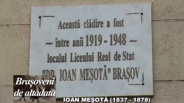 14 MESOTA смотреть онлайн