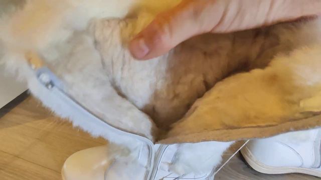 БЕЛЫЕ ЖЕНСКИЕ УНТЫ из натуральной кожи смотреть онлайн