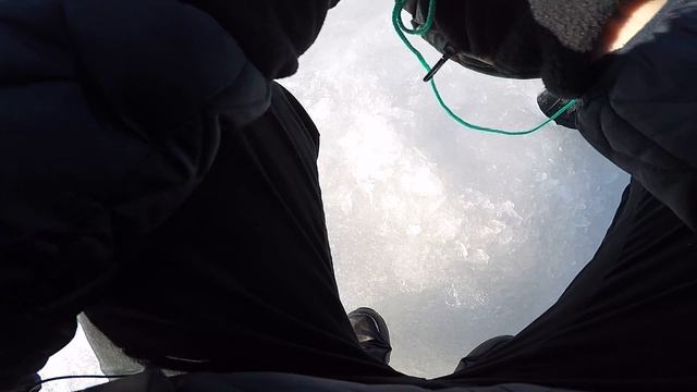 Как добыть живца зимой. Испытываем Зимний Малявочник в минской области смотреть онлайн