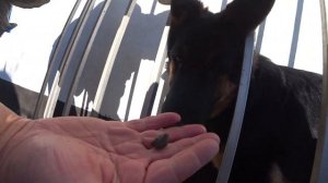 как укрепить теплицу от ветра чтобы не отрывало поликарбонат