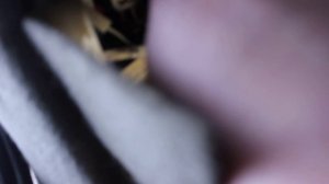 Как снять фонарь ситроен ксара пикассо