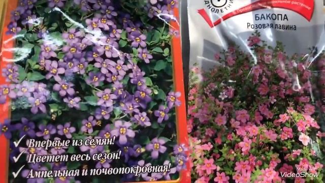 Семена Цветов 2021 в Хит Сезона. смотреть онлайн