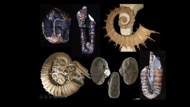 Учёные - детям: Джон Ягт и Елена Языкова смотреть онлайн